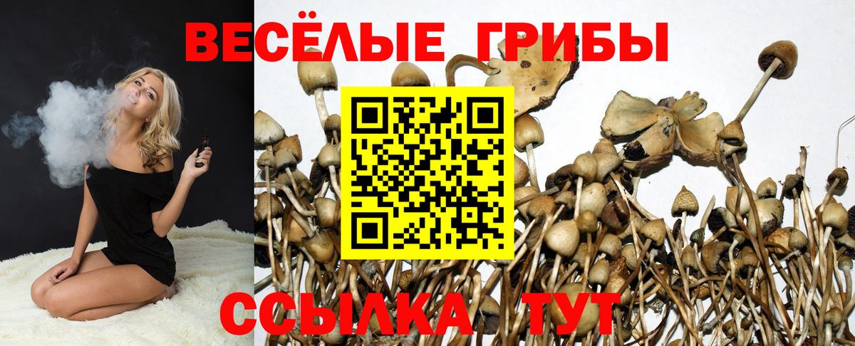Псилоцибиновые грибы GOLDEN TEACHER  Вход с VPN  Ейск 