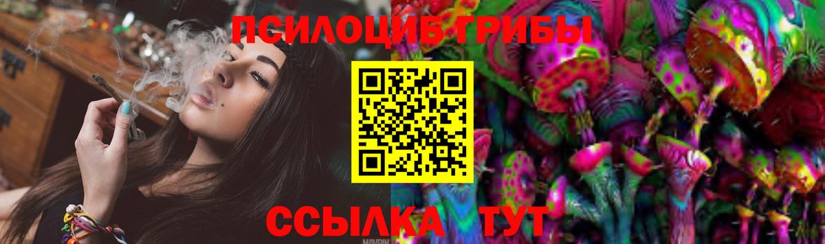 Псилоцибиновые грибы Psilocybine cubensis Ейск